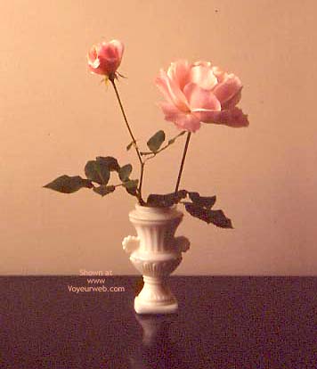 Pic #1Bella Miciona - Flowers and More