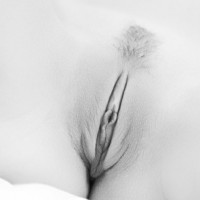 Pic #1Macro Pussy Bw II