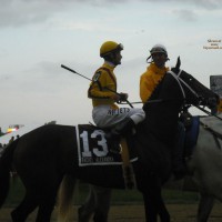 Pic #1 2009 Preakness Fillies