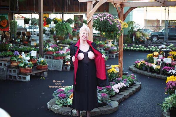 Pic #1 Lark  Around Town