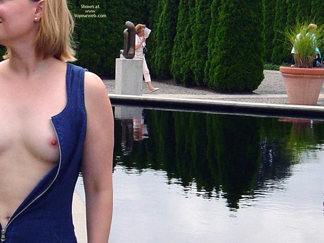 Pic #1Flash Cards Bunny At Hamilton, Nj