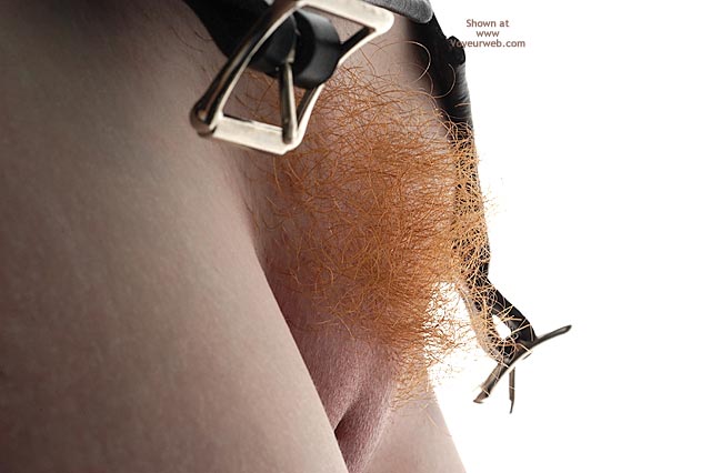 Pic #1*Tc English Wife, Under Lock And Key