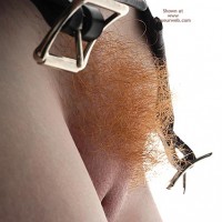 Pic #1*Tc English Wife, Under Lock And Key