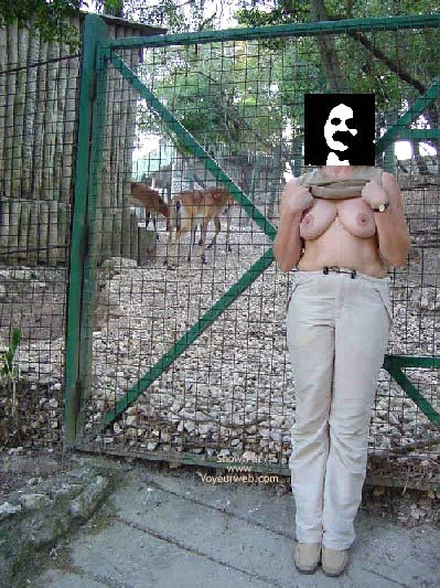 Pic #1 P&amp;P Zoo Lisboa