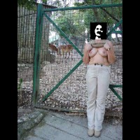 P&amp;P Zoo Lisboa