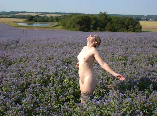 Pic #1Dare2Bare in Fields of Blue