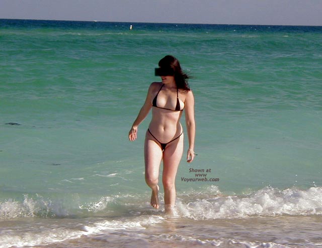 Pic #1Wicked Weasel on The Beach