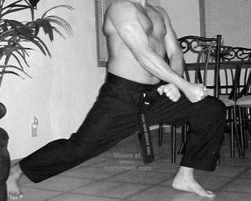 Pic #1M* More Steel Dragon