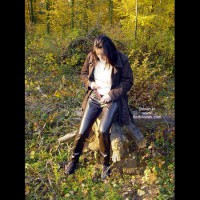 Pic #1L'Automne De Miaou