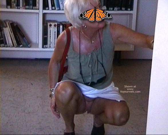 Pic #1Papillon Fran&ccedil;aise