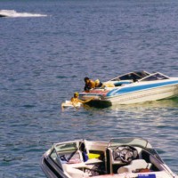 Pic #1At The Lake in Texas