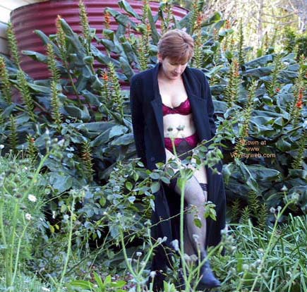 Pic #1Cabin in The Hills 4