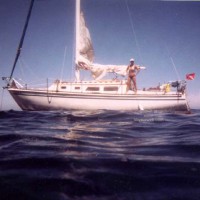 Lani Nude in Public, Skin Diving 2