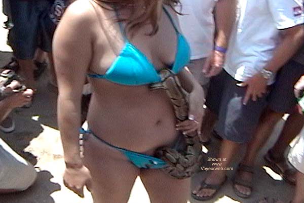 Pic #1Over-The-Line 2002 1