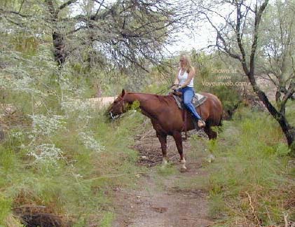 Pic #1Naked Horseback Riding