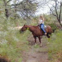 Pic #1Naked Horseback Riding