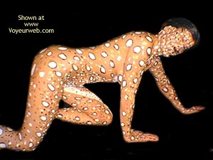 Pic #1Cheetah Night