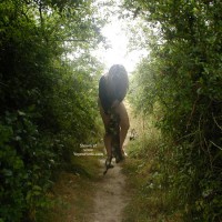 Pic #1 Brigitte une Petite Fran&ccedil;aise
