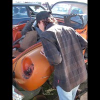 *Lb Sexy Among Scraps