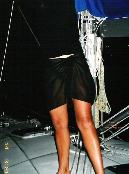 Pic #1Suggestive Skipper