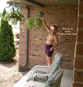 Pic #1Plants Needed Water