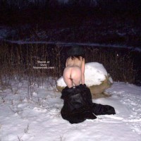 Pic #1Flashin Ann Returns