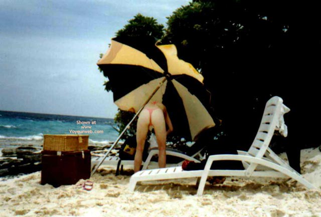 Pic #1Vienna - Ass For You!