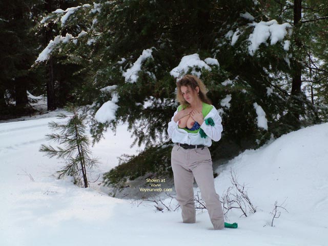 Pic #1Winter In The Cascades