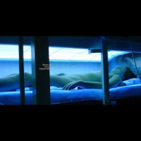 Under The Blue Light