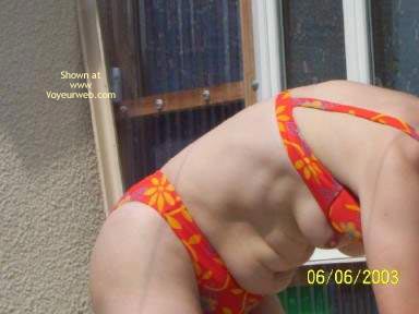 Pic #1Sorpresa in Giardino