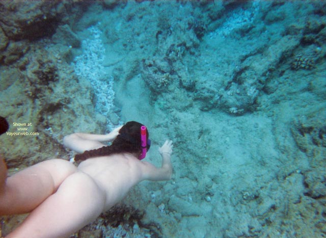 Pic #1Underwater Fun