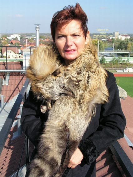 Pic #1Fox on The Roof