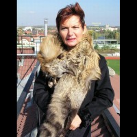 Pic #1Fox on The Roof