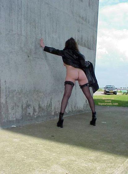 Pic #1Rear Views From Holland