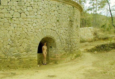 Pic #1Tina And The Ice House