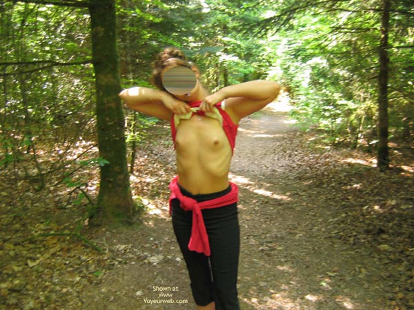 Pic #1Promenade en Foret Bretonne