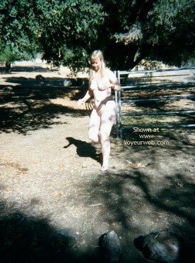 Pic #1Camping Trip