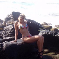 Savannah On Rocks 1