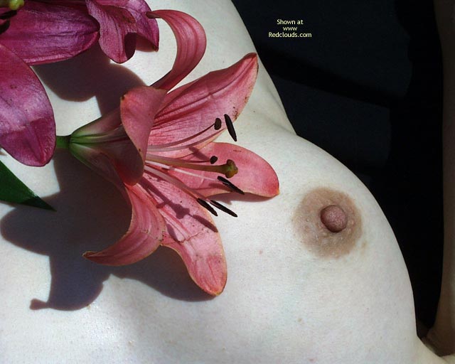 Pic #1Flowers