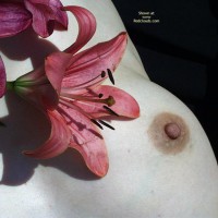 Pic #1Flowers