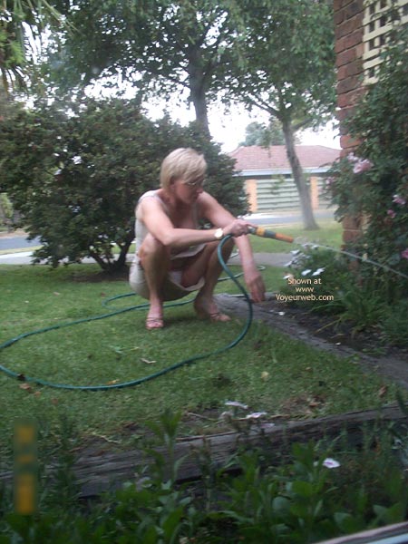 Pic #1Please Spy On Me Chrisitnagardening