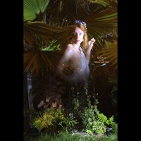 Woodland Nymph