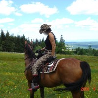 Sexy Horse Ride