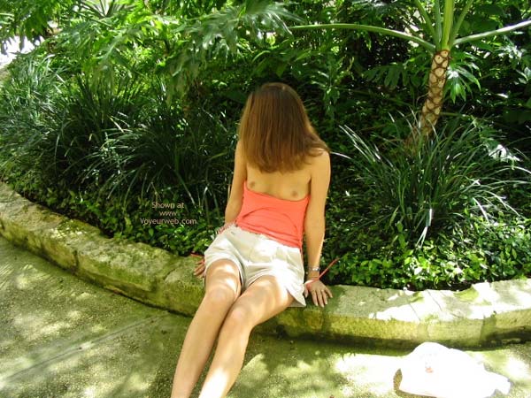 Pic #1 Robin In San Antonio