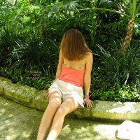 Pic #1Robin In San Antonio