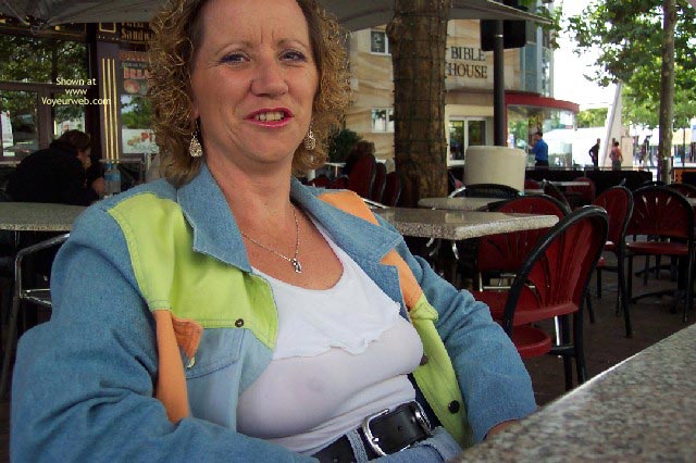 Pic #1Shy Possum In Civic Canberra