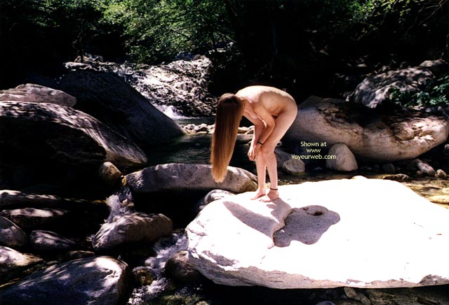 Pic #1Mountain Honey