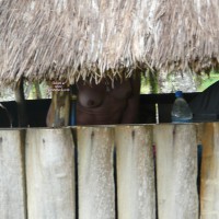 Pic #1 Very Long Hard Nipples