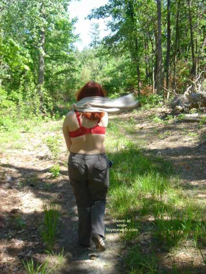 Pic #1 Day In The Forest