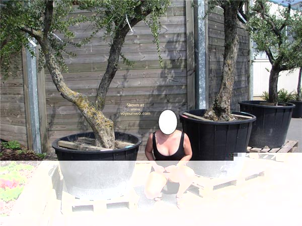 Pic #1Serie A La Pepinie